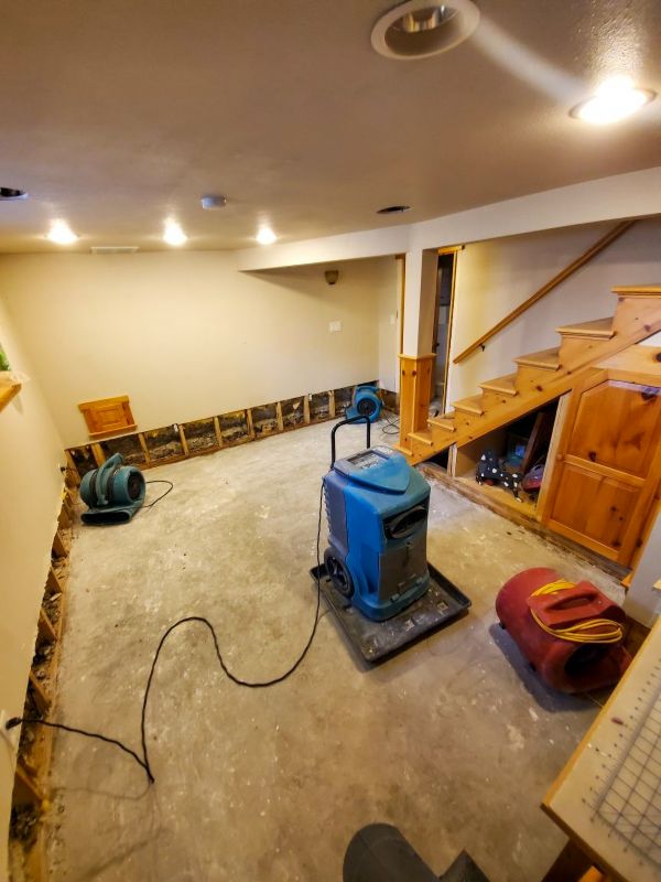 Basement Restoration Service in Wilmington, NC