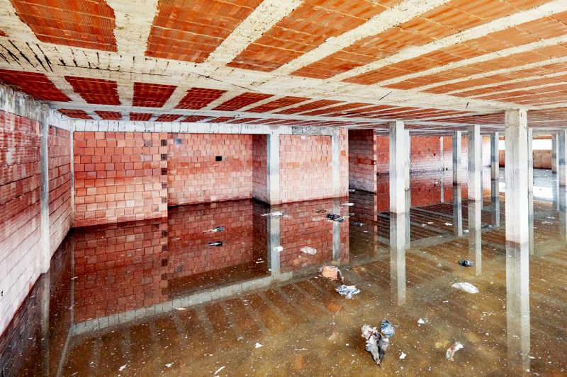 Basement Restoration Service in Santa Rosa, CA