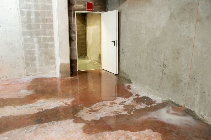 Basement Water Mitigation in Santa Rosa, CA