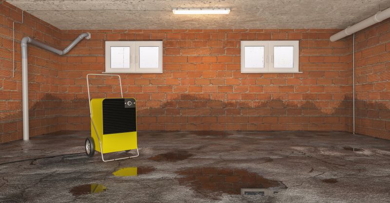 Basement Water Removal in Santa Rosa, CA