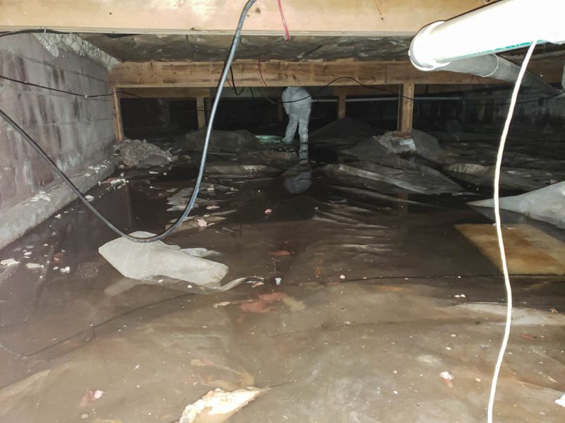 Flood Damage Cleanup in Santa Rosa, CA