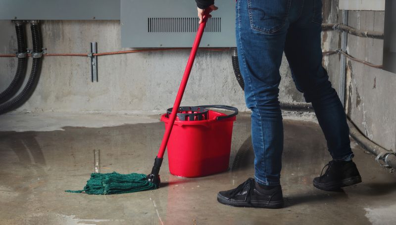 Flooded Basement Cleanup in Chandler, AZ