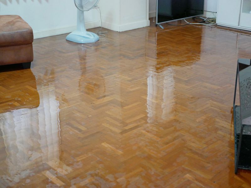 Flooded Floor Repair in Santa Rosa, CA