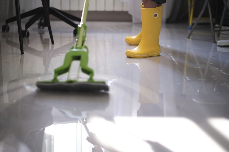 Moisture Removal Service in Santa Rosa, CA