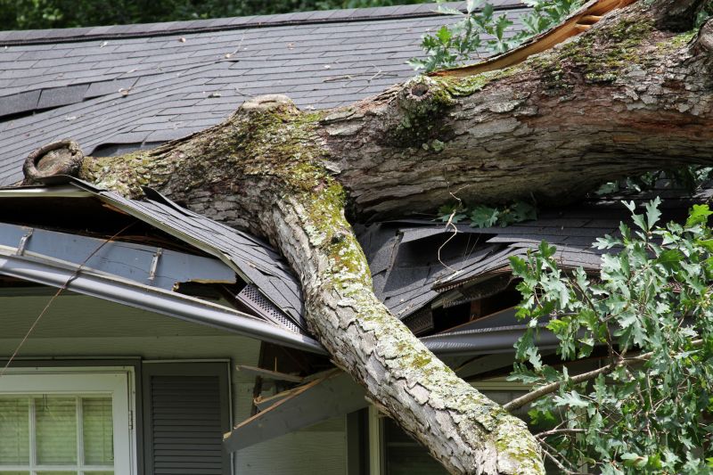 Storm Damage Mitigation in Scottsdale, AZ