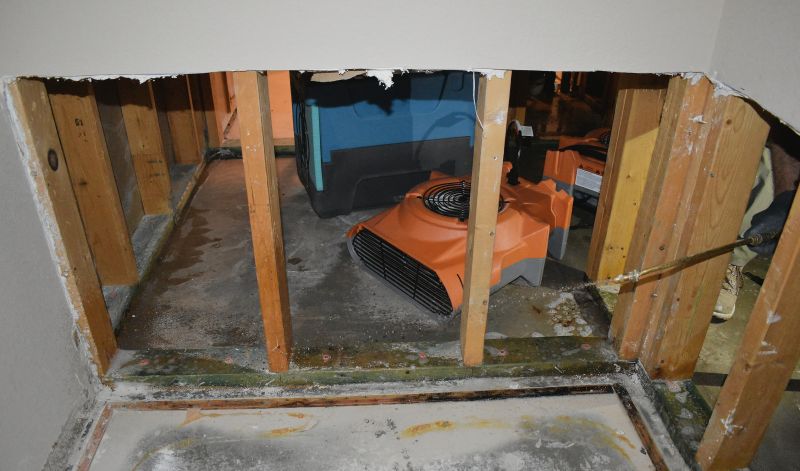 Water Damage Mitigation in Chandler, AZ