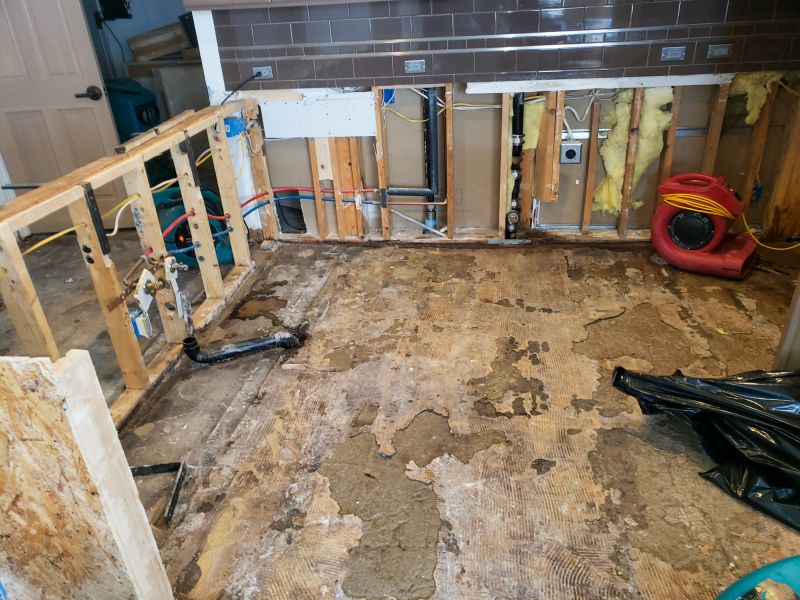 Water Damage Remediation in Chandler, AZ