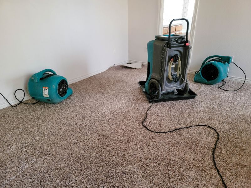 Water Damage Remediation in Mesa, AZ