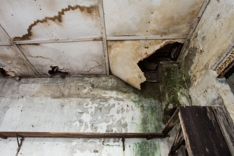 Water Damage Remediation in Mesa, AZ