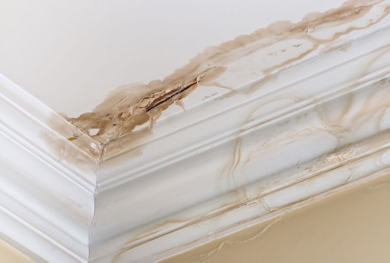 Water Damage Repair in Phoenix, AZ