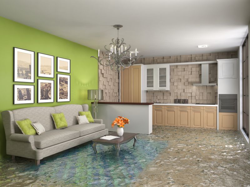 Wet Carpet Restoration in Santa Rosa, CA