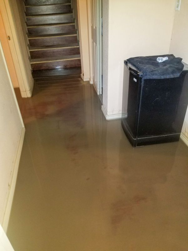 Basement Water Removal in Santa Rosa, CA